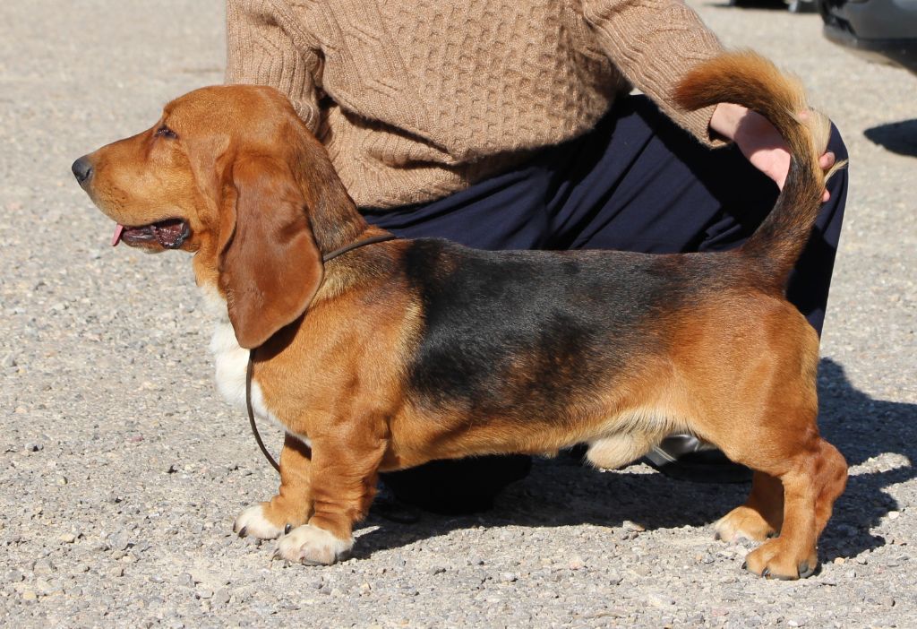 Voyou Des Poe D'Hina