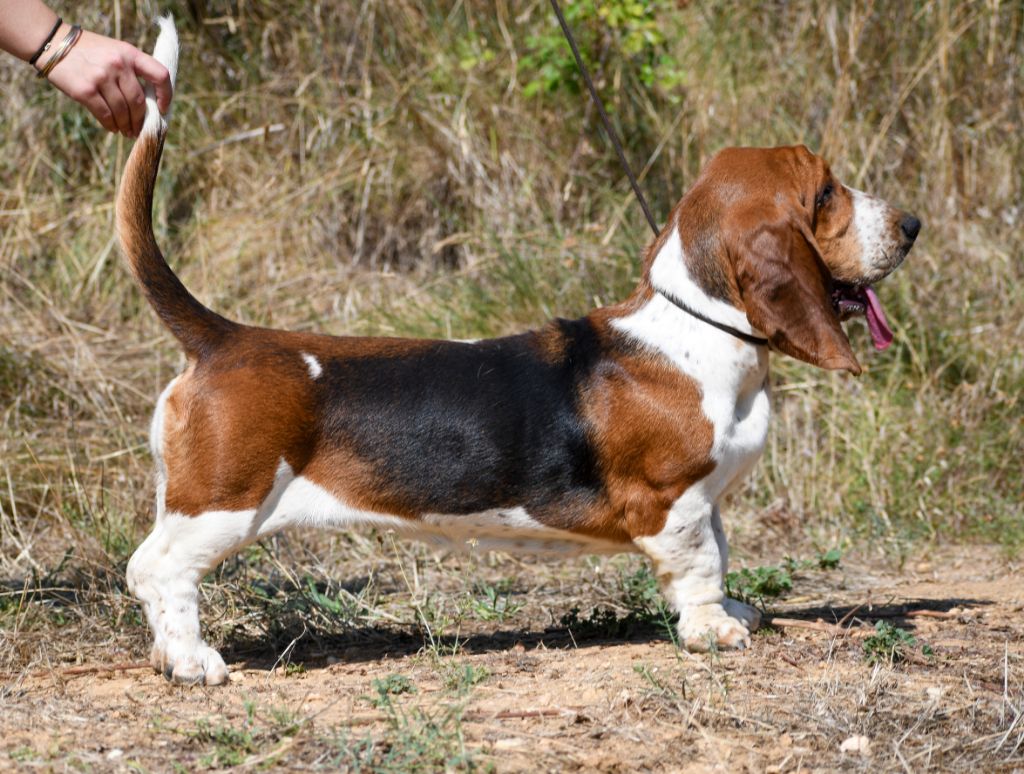 Vanya Des Poe D'Hina