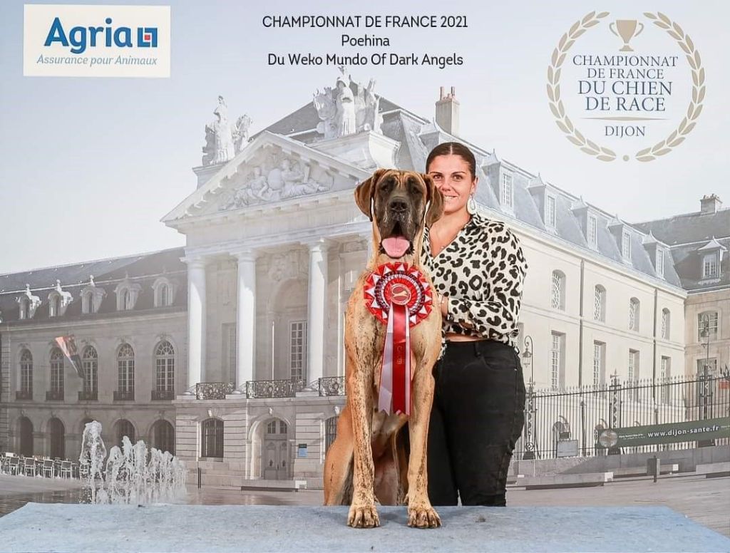 Championnat de France