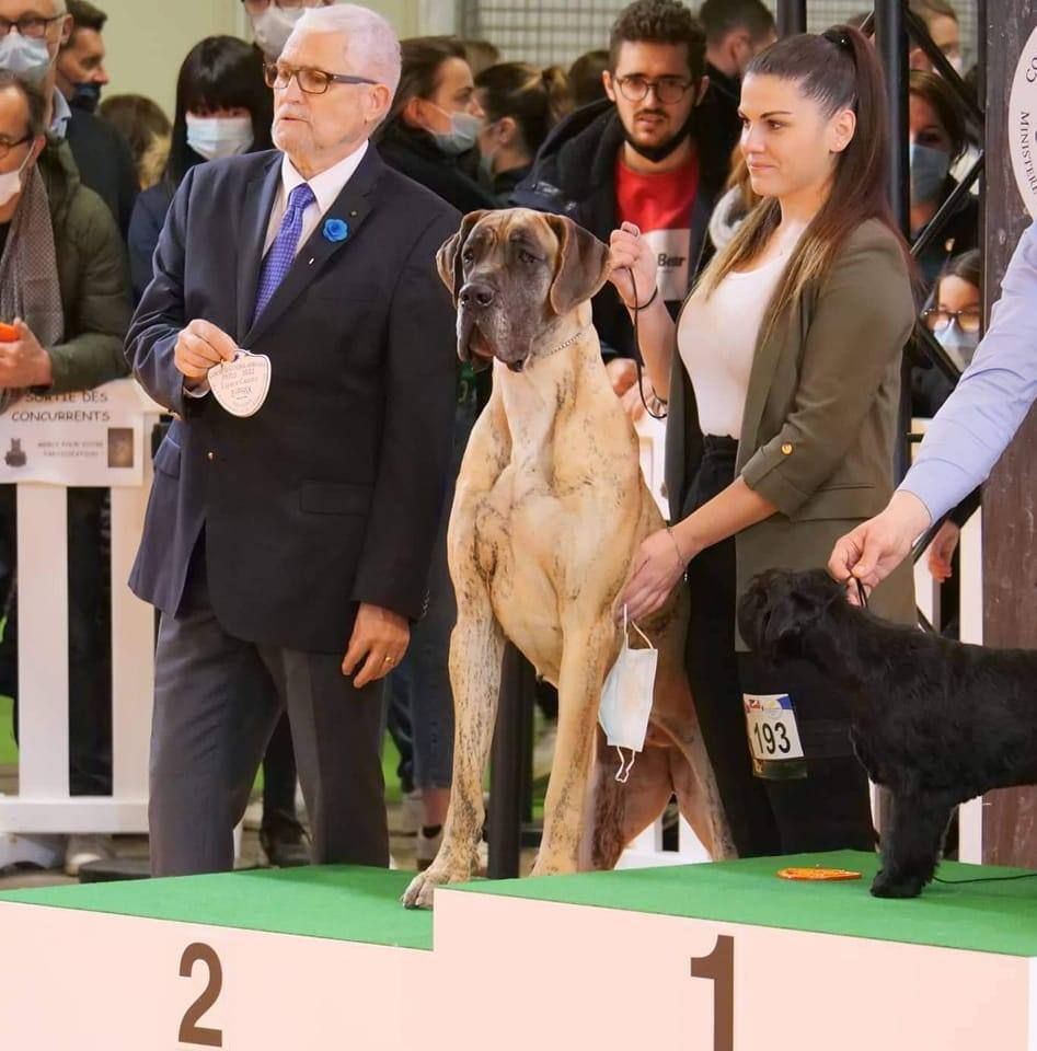 Concours Général Agricole 2021